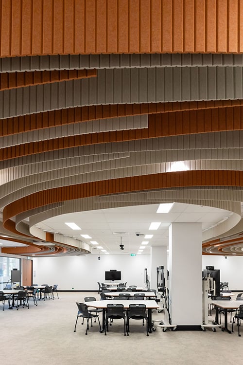 Griffith University