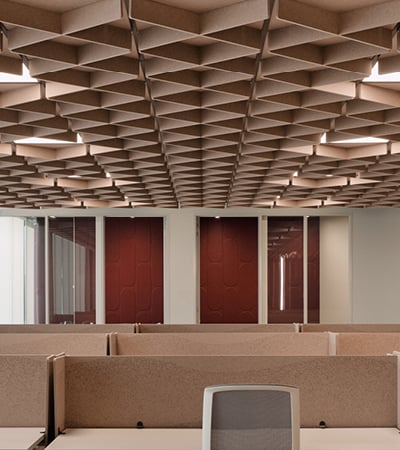 Balancing Collaboration with Privacy: Focus in the Chaos of the Open-plan Office