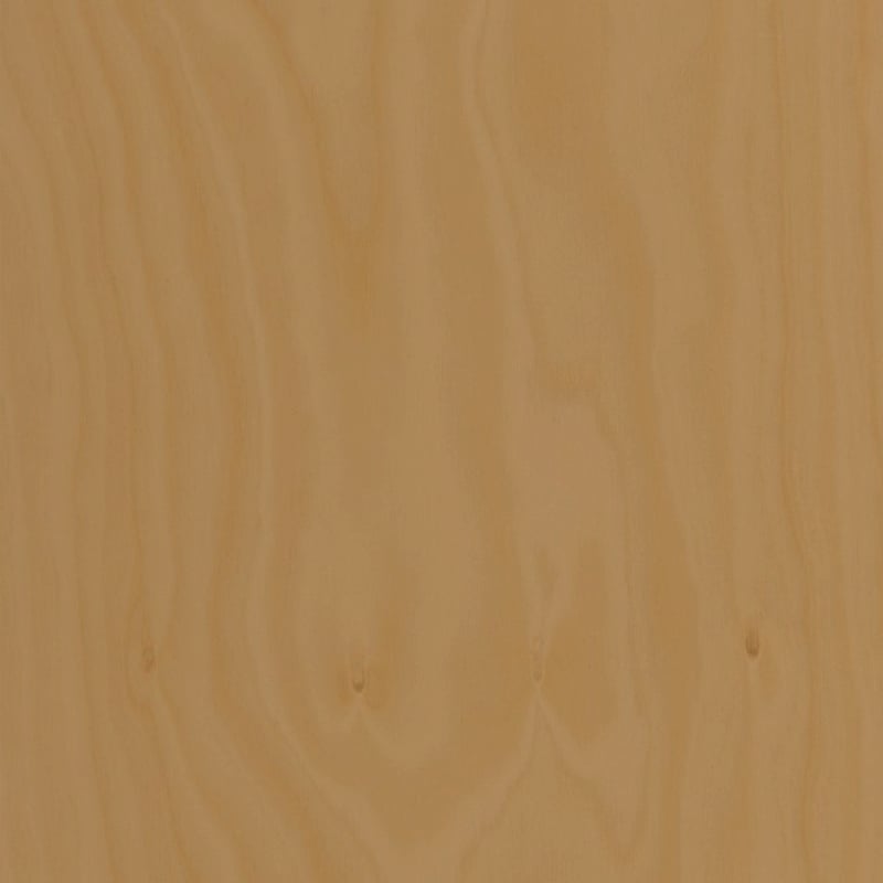 Hoop Pine