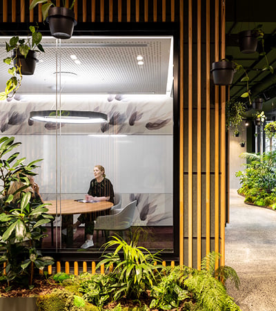 Designing for Well-Being–Promoting Acoustic and Visual Comfort