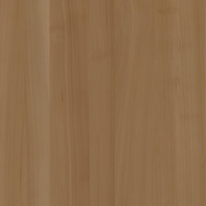 Australian Blackbutt