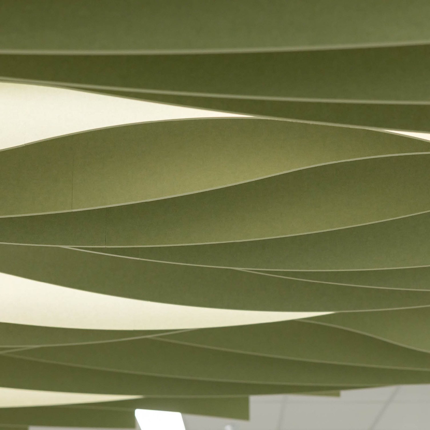 Frontier™ FIns