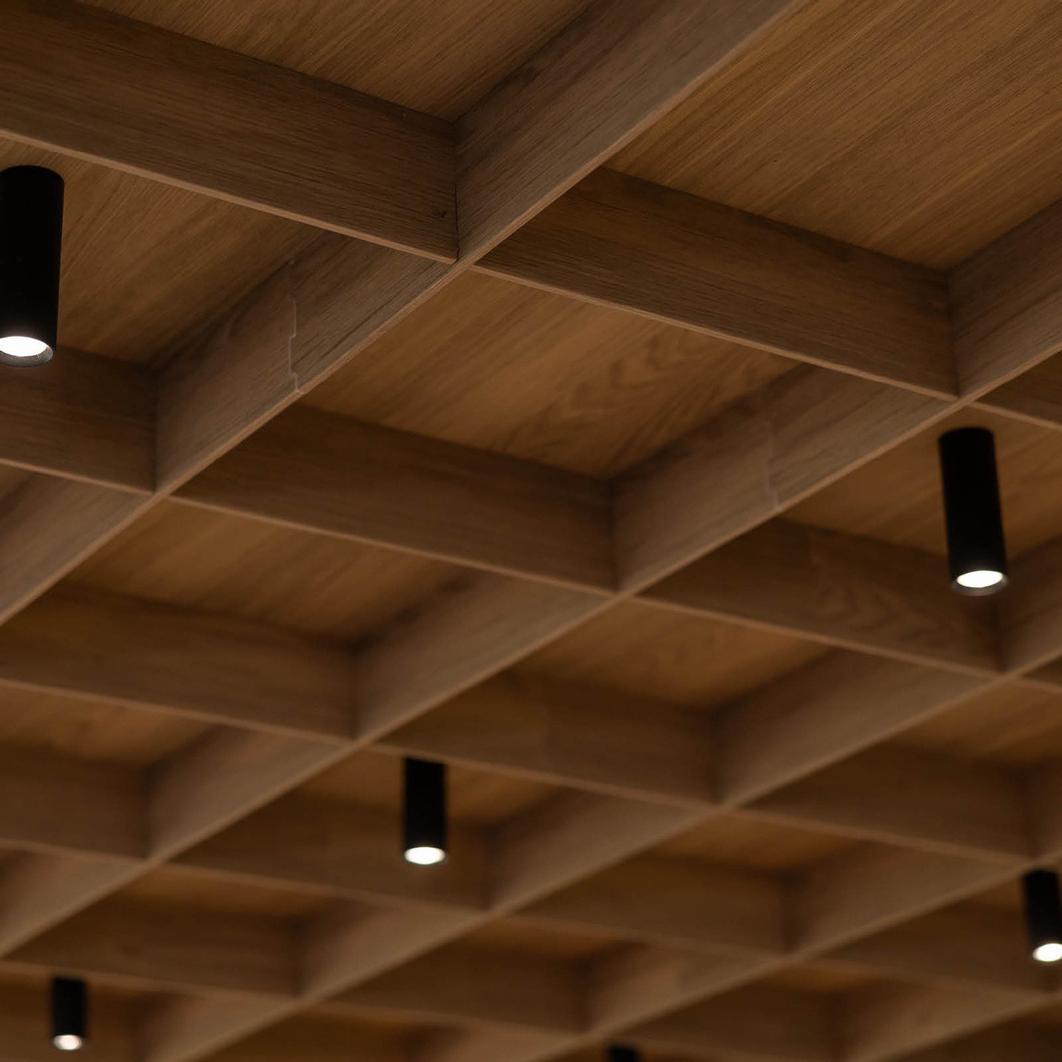 Acoustic Timber™