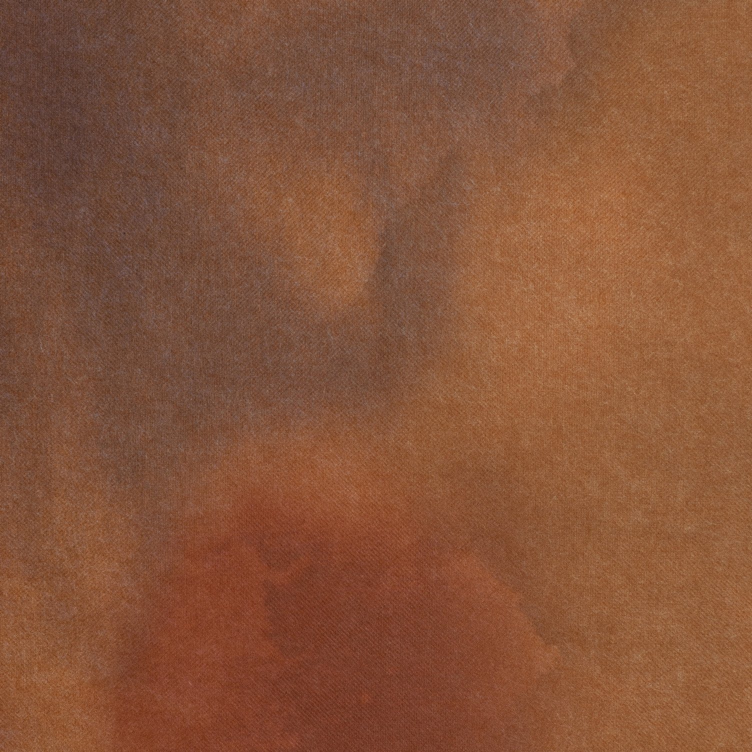 Dispersion 'Terra' (Canyon)