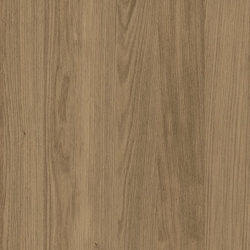 Civic Oak