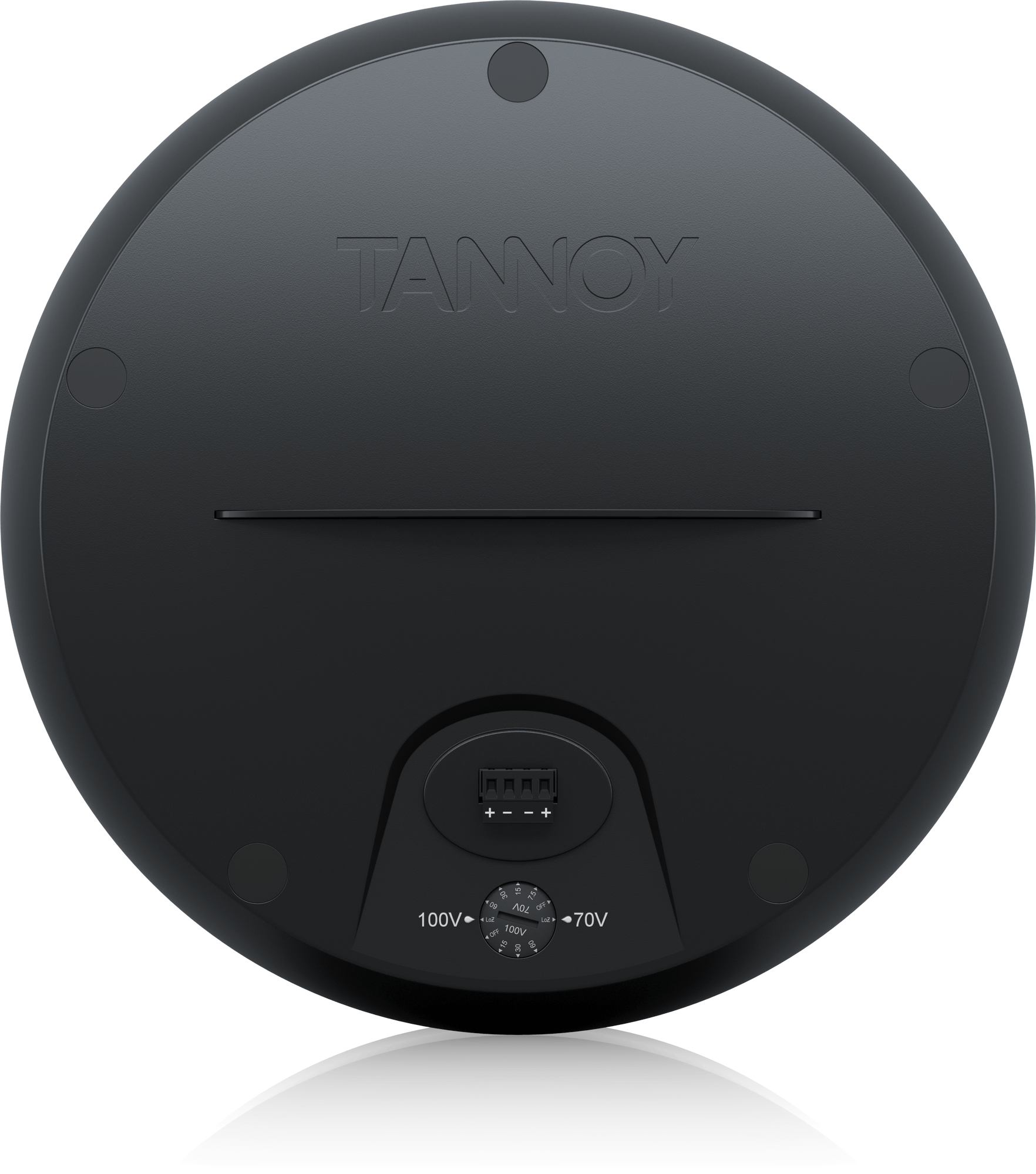 Tannoy | Product | OCV 8