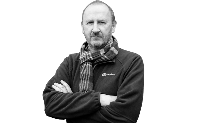 t.c.electronic D-TWO 動作確認済み D-Two | ビーテック株式会社