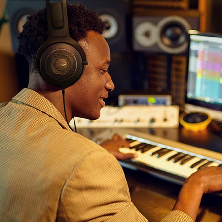Perfect for Musicians and Audiophiles