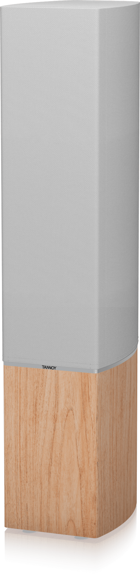 TANNOY PLATINUM F6 1台目 PLATINUM-F6-