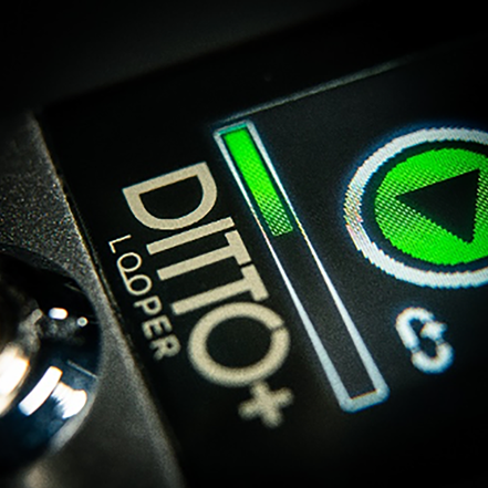 TC Electronic | Product | DITTO+ LOOPER TC Electronic | Product | DITTO+ LOOPER