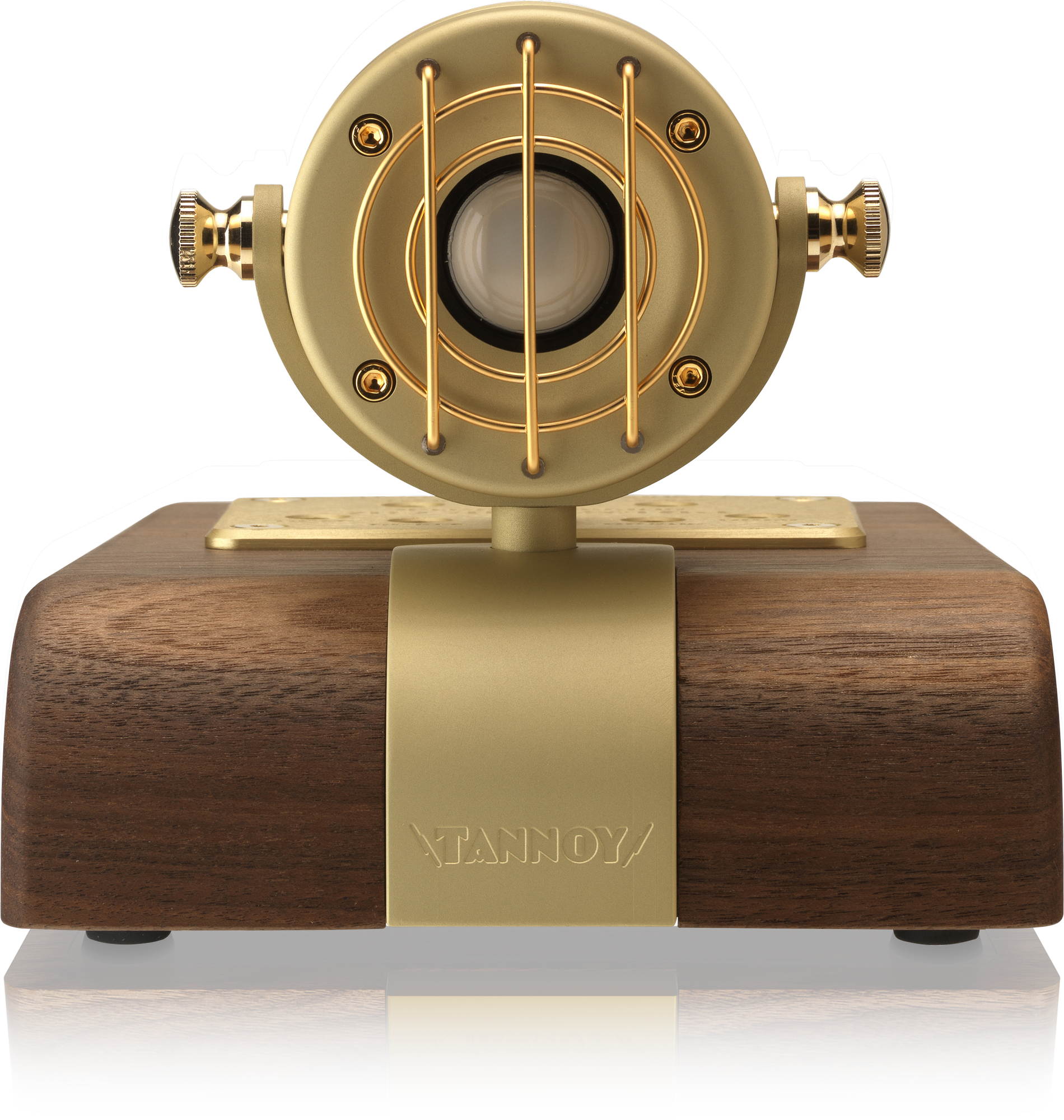 Tannoy | Product | SUPERTWEETER-GO