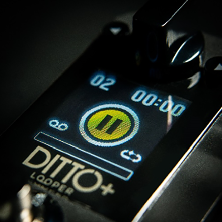 TC Electronic | Product | DITTO+ LOOPER TC Electronic | Product | DITTO+ LOOPER