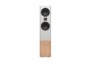 Tannoy | Series | Platinum Series Tannoy | Series | Platinum Series