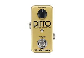 TC Electronic | Product | DITTO LOOPER GOLD