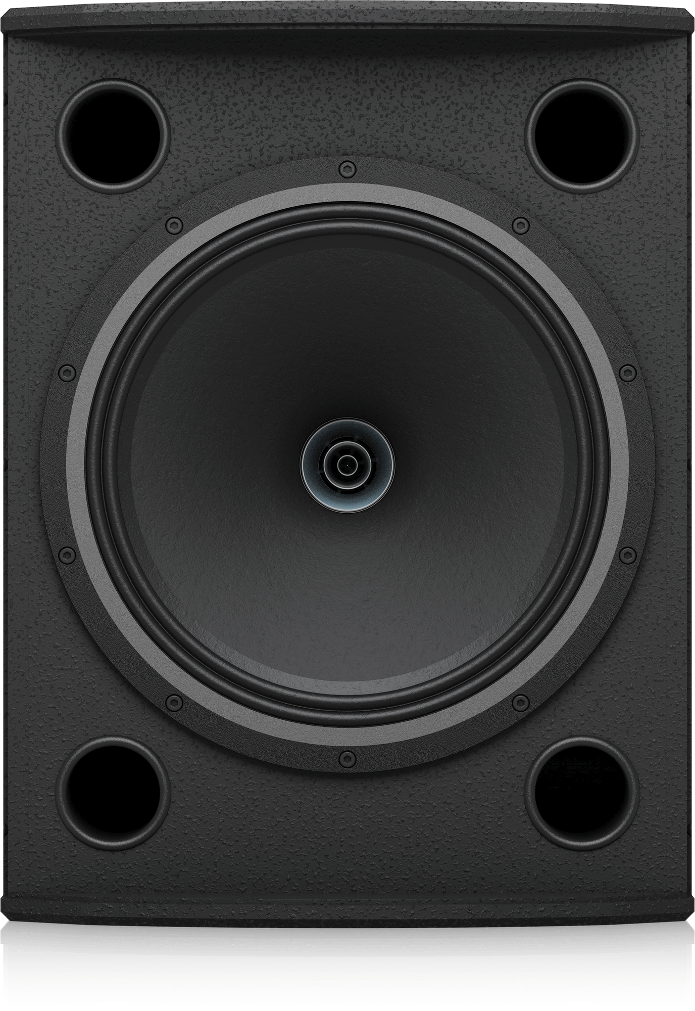 Tannoy | Product | VX 12