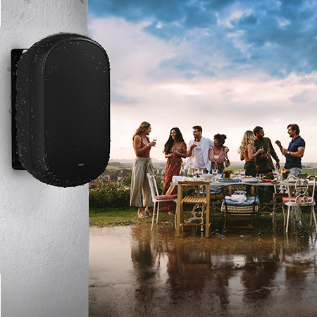 Tannoy | Product | DVS 601