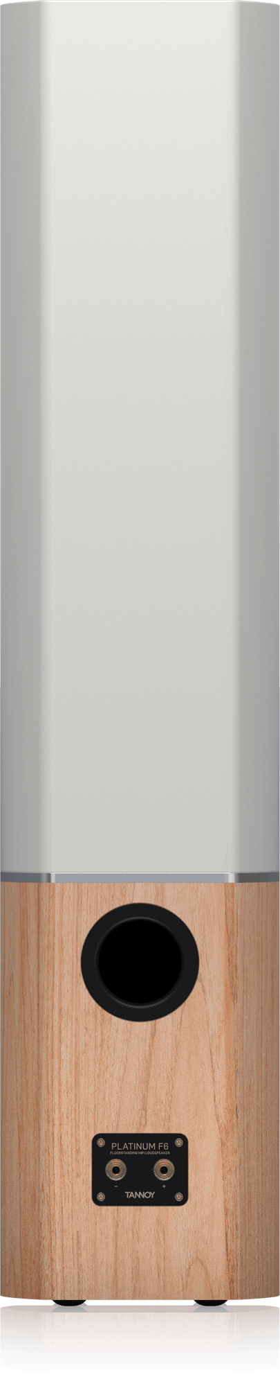 TANNOY PLATINUM F6 2台目 PLATINUM-F6-