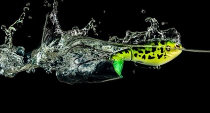 Australian Bass - Berkley Fishing Australian Bass - Berkley Fishing