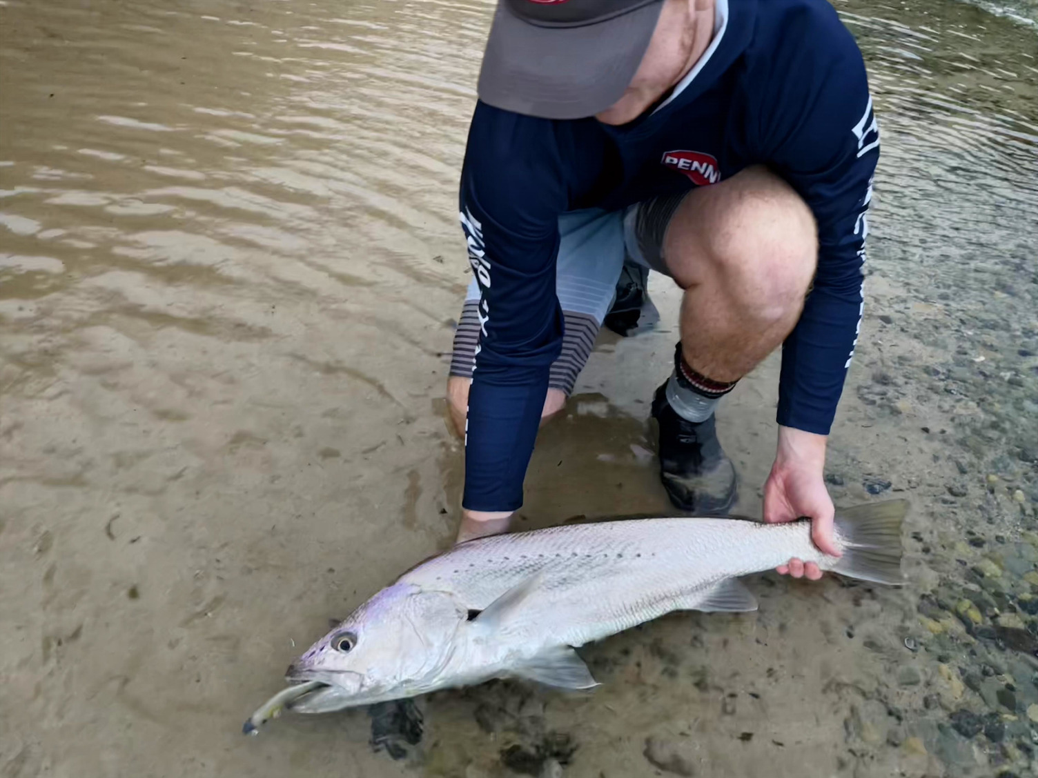 A guide to catching Mulloway around the rocks - PENN®