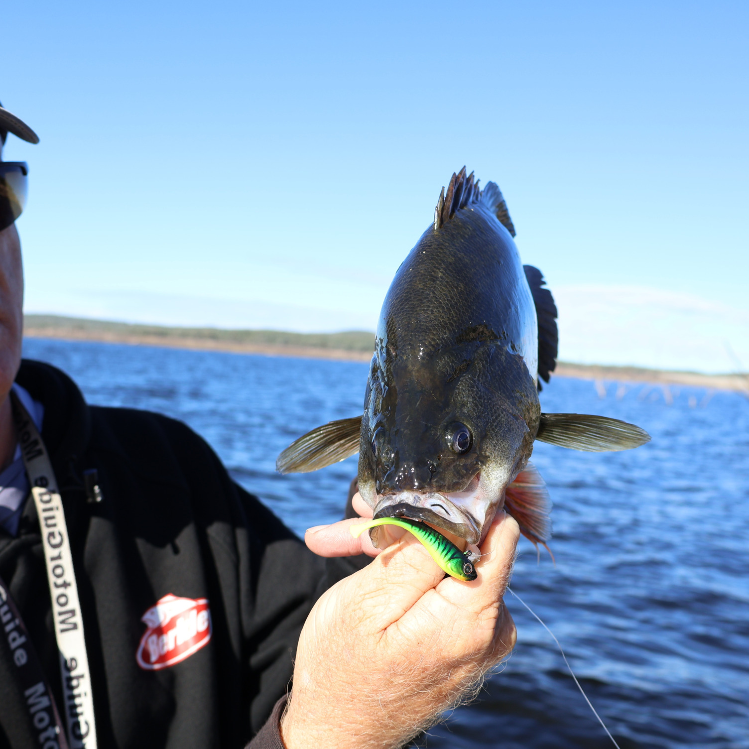 best hooks fishing Hook 4/0 Octopus Beak Offset Jig Strong Sharp Tackle Terminal These hooks are extremely FINS 40G Retrieve:Left/Right Legendary Angler: Buzz Ramsey