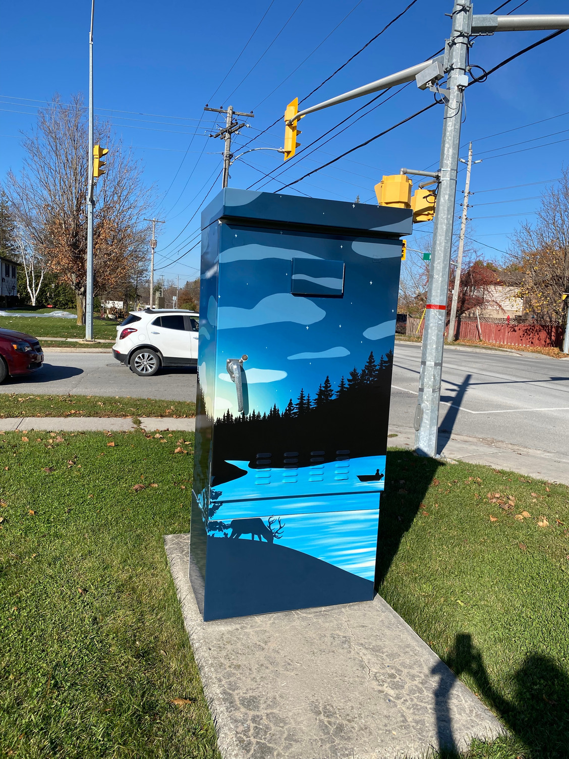 traffic control box wrapped in artwork