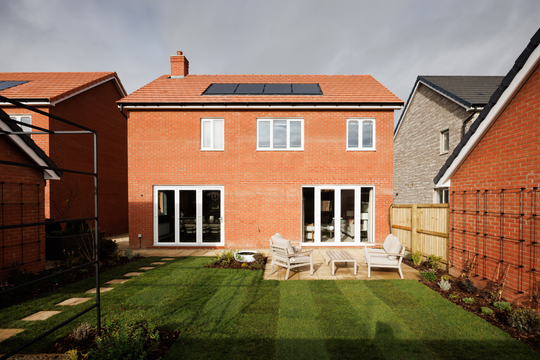 Chestnut External