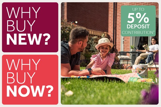 LH -SEM-Linby Meadows- Q3 Campaign