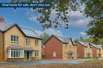 BH-VSWM-TC-FINAL HOME