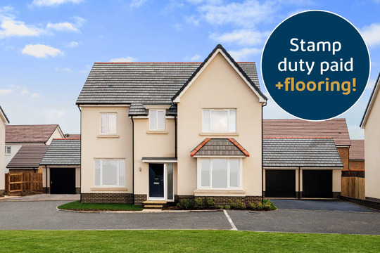 VDSW BH BIDE BIRCH 118