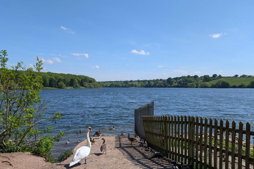 CH-SEM-EC-Thornton reservoir 1