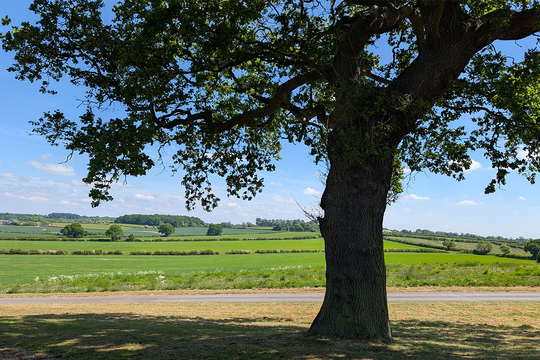 CH-SEM-EC-Countryside Bosworth