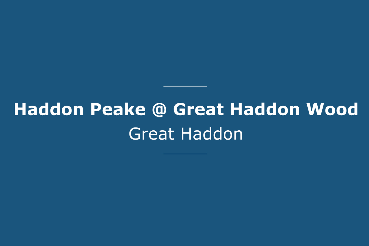 Haddon Peake_Coming Soon_Bovis