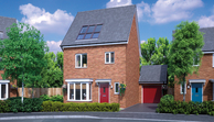 Home 250