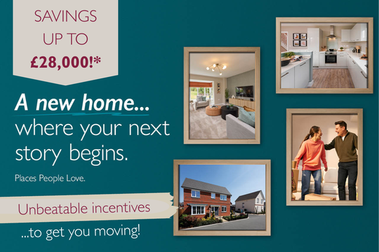 VDSW CH IGROVE WEB CAROUSEL