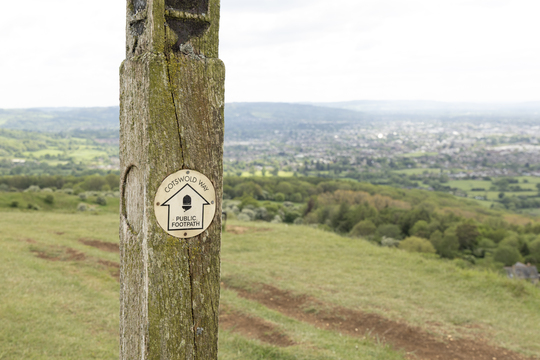 cheltenham_48