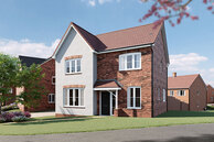 Home 264
