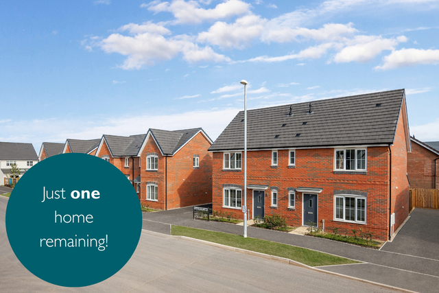 VDSW CH SGRANGE HERO 1 (2)