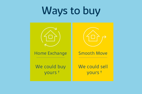 Western ways to buy graphics Bovis