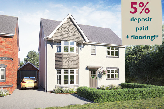 VDSW CH IGROVE STRATFORD HERO