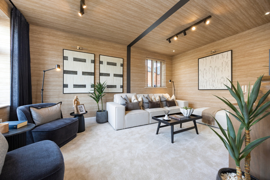 Sunnybower Meadow-Aspen-LVR-Web Banner