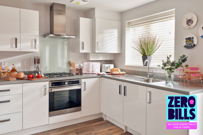 The Holly Zero Bills (3)