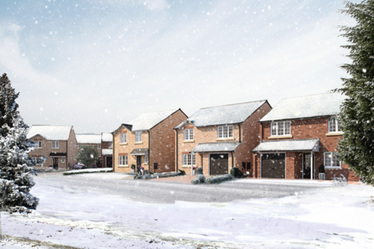 Bishops Park II - Christmas