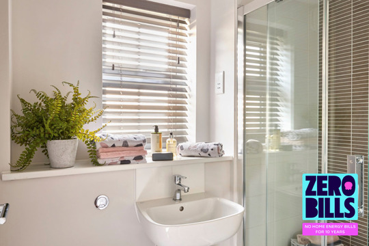 The Holly Zero Bills (8)