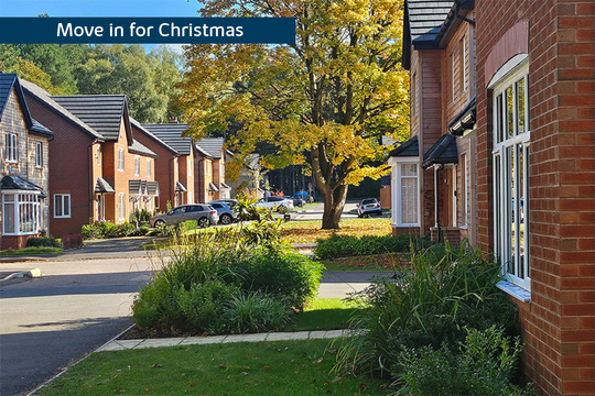 BH-VSWM-TC-MOVE IN FOR CHRISTMAS