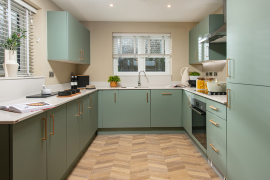 Lupin example imagery (14)