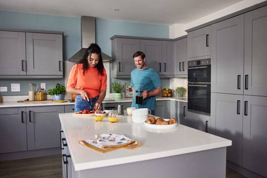 Bovis2504