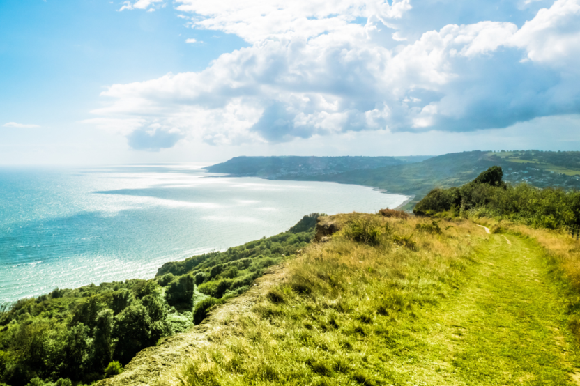 Bridport Banner - local area 3