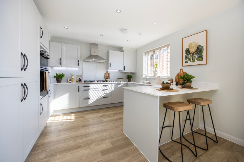 Sunnybower Meadow-Juniper-KTD-Web Banner