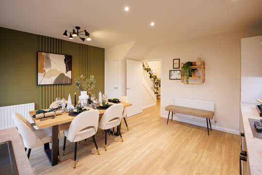 CP_Tors_SH_161223_11