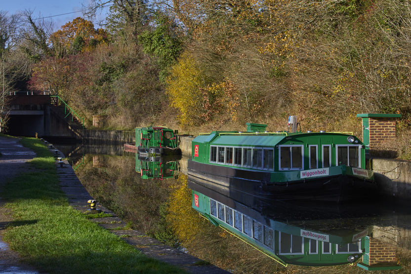 VISE-STNICPLA-LocalArea-50